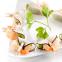 images/galerie_cuisine/Cornetto radis noir et scampi.jpg